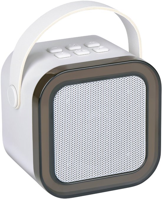 Karaoke set draadloze mini van Fenton — afbeelding 4