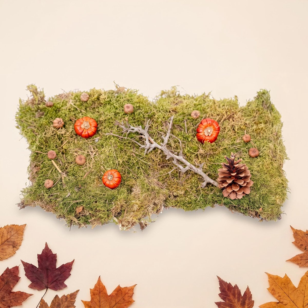 Herfst deco set Medium - Pompoenen, mos, hout, dennenappels