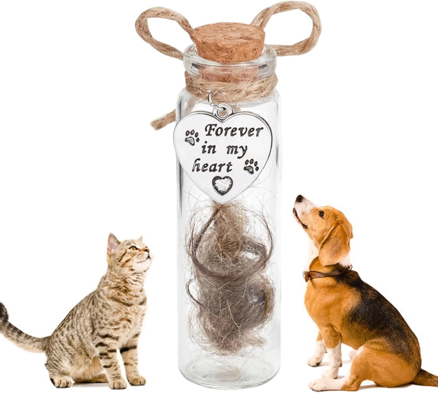 Pet Hair Memorial , Kat aandenken, Glazen as