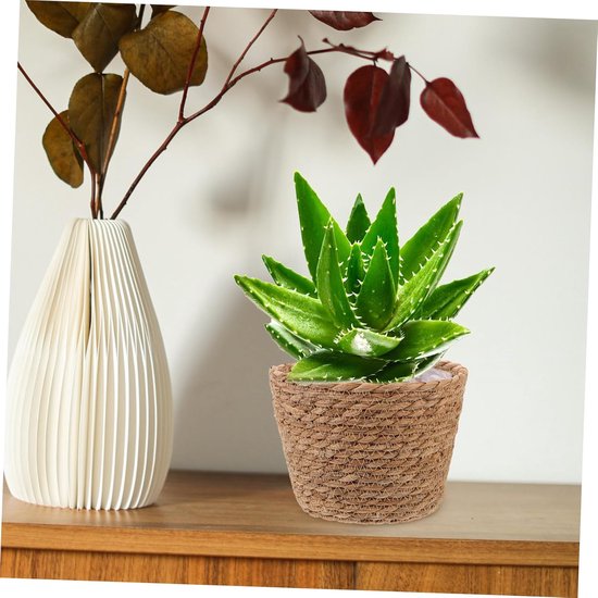 3 Stuks Seagrass Woven Planter Baskets met Plastic Lining Woonstijl Veur Indische Buitenplanten — afbeelding 4
