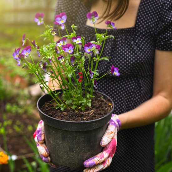 4 Stuks Delige Graden Plant Buigclips voor Takken Duurzame Plant Steunclips voor Heroriëntatie Luchtcirculatie Geschikt voor Tuin Kamerplanten — afbeelding 4