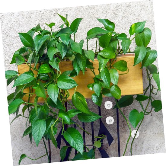 50 Stuks Tuinplantenankers Voor Klimplanten Decoratieve Potplantenhouders Ondersteuning Voor Orchideeën Metalen Standaards — afbeelding 4