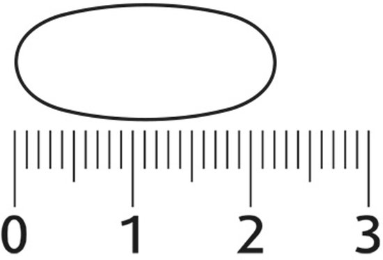 Een ovale tablet met een liniaal eronder die centimeters aangeeft van 0 tot 3.