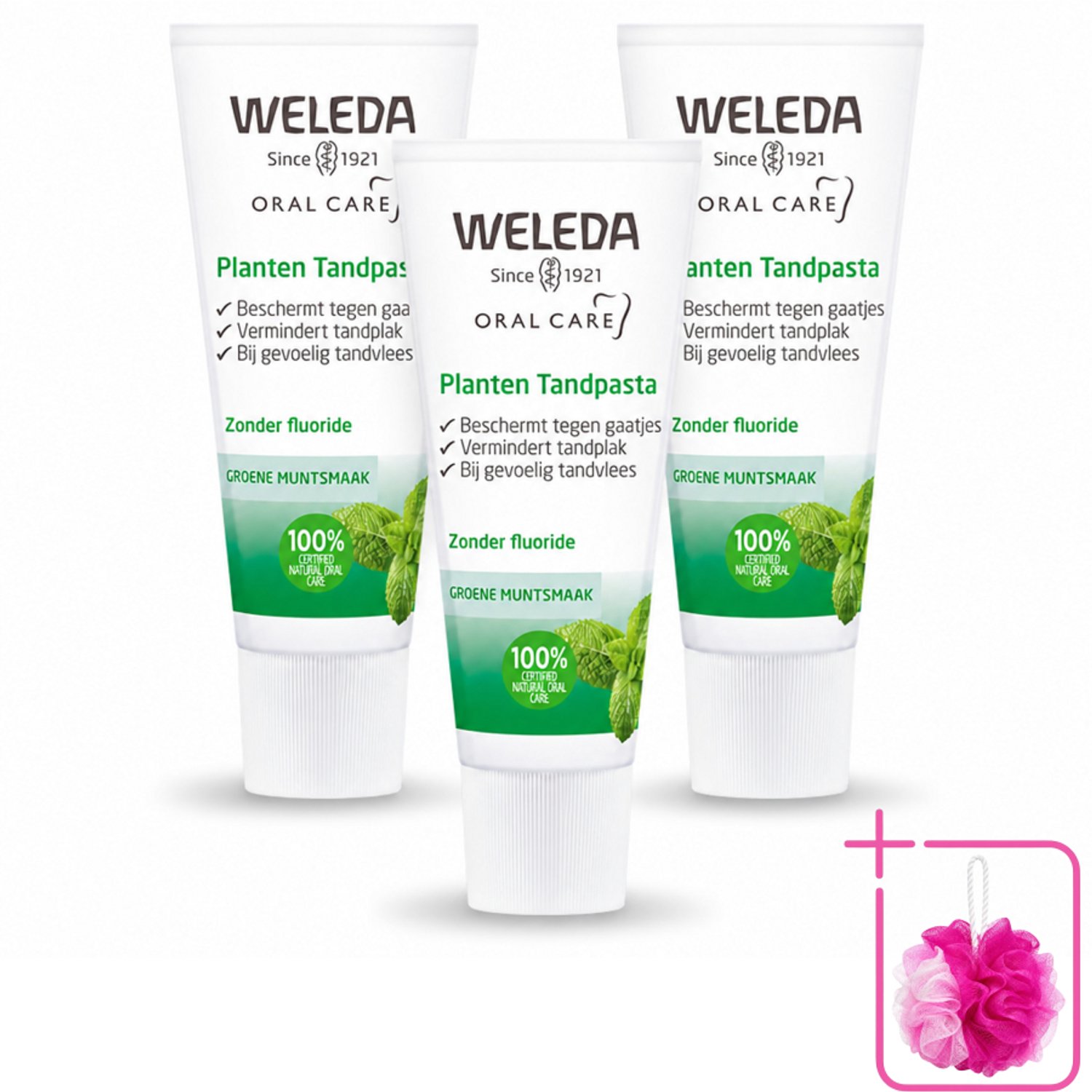 3 x WELEDA - Planten tandpasta - 75 ml - Bulkverpakking - Natuurlijke tandpasta - Douchemop - Tandvlees kalmeren