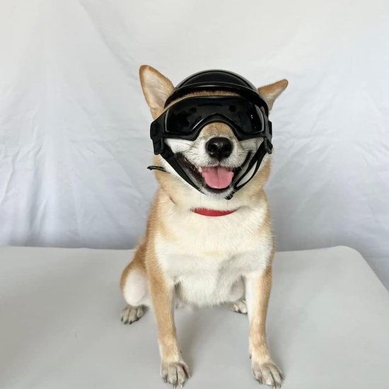 2 stuks hondenzonnebril en huisdierhelm set met hondenbril kleine hond motorfiets/fietshelm met oorgaten verstelbare hondenbril hoed voor puppy rijden — afbeelding 2