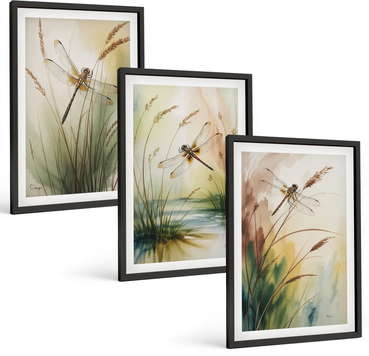 Coloray 3-Delige Schilderij Set - Libellen Tussen Het Gras Bij Het Water In Een Schilderachtige Stijl. - 40 x 60 cm - Muurdecoratie - Decoratieve Schilderijen - Wohnzimmer