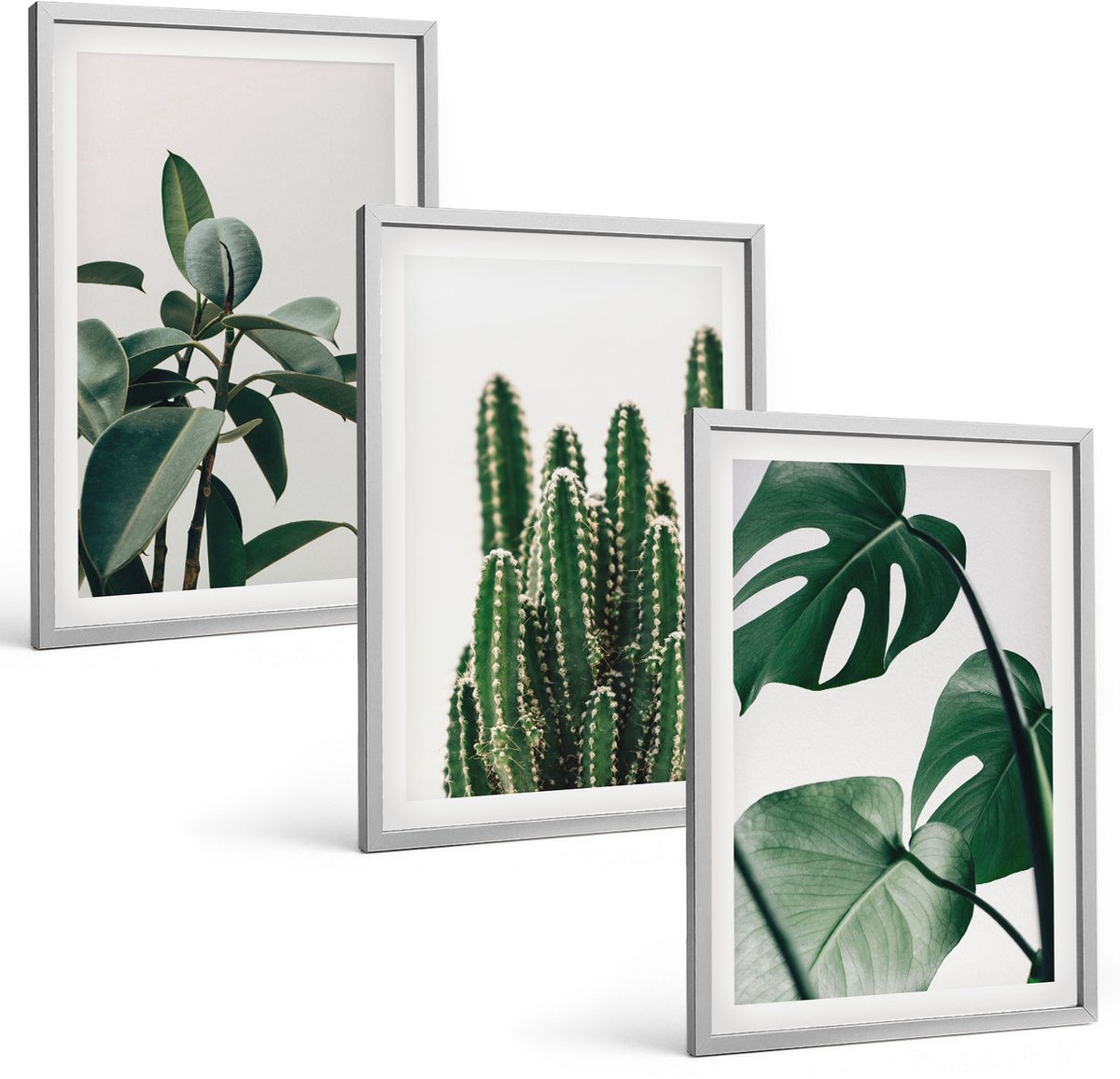 Coloray 3-Delige Schilderij Set - Tropische Kamerplanten Met Esthetische Bladeren - 40 x 60 cm - Muurdecoratie - Decoratieve Schilderijen - Wohnzimmer - Wanddecoratie