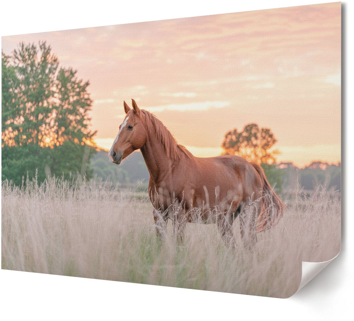 Coloray Canvas Poster Polycanvas - Een Rustige Wandeling, Fotografie - A4 - Blauw Decoratie - Rechthoek - Kunstposter - Woonkamer, Slaapkamer, Kantoor - Minimalist