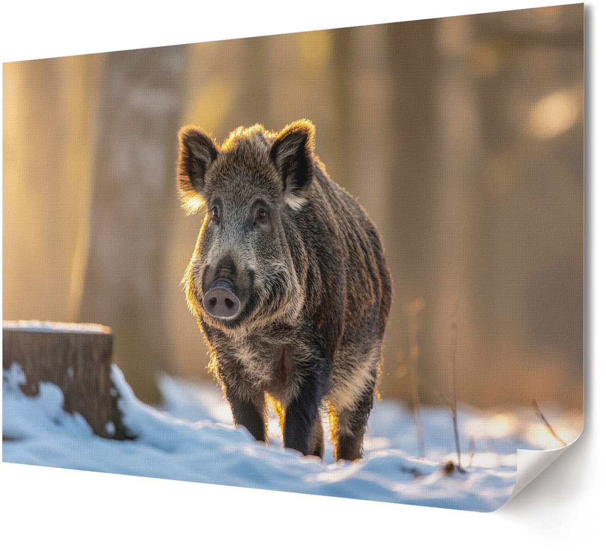 Coloray Polycanvas Poster - Keukenspecerijen, Fotografie - A4 - Bruin Wanddecoratie - Rechthoek - Wandkunst - Woonkamer, Slaapkamer, Kantoor - Rustiek