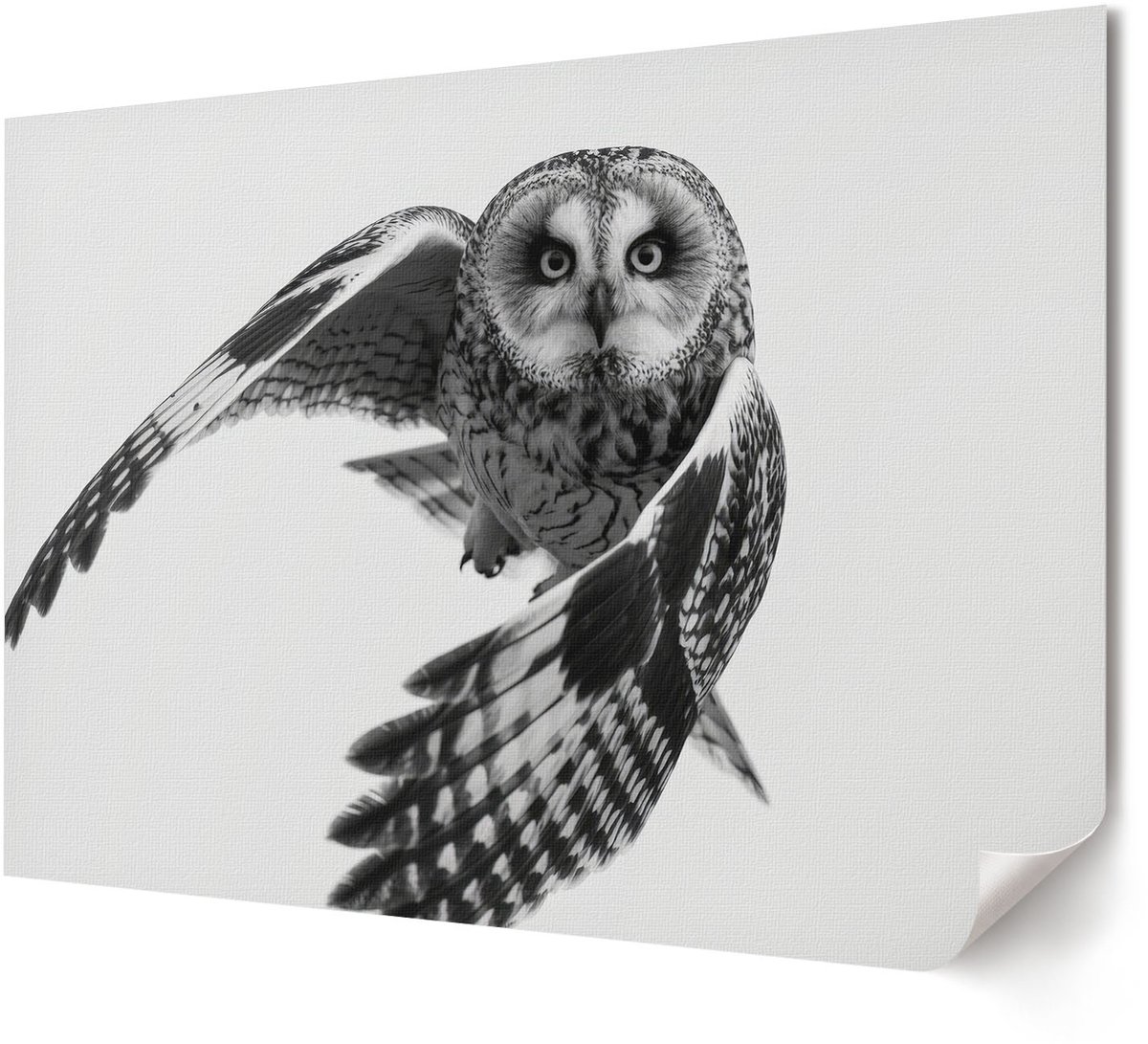 Coloray Polycanvas Wandposter - Elegant Silhouet, Fotografie - A4 - Wit Poster - Rechthoek - Interieurdecoratie - Woonkamer, Slaapkamer, Kantoor - Glamour
