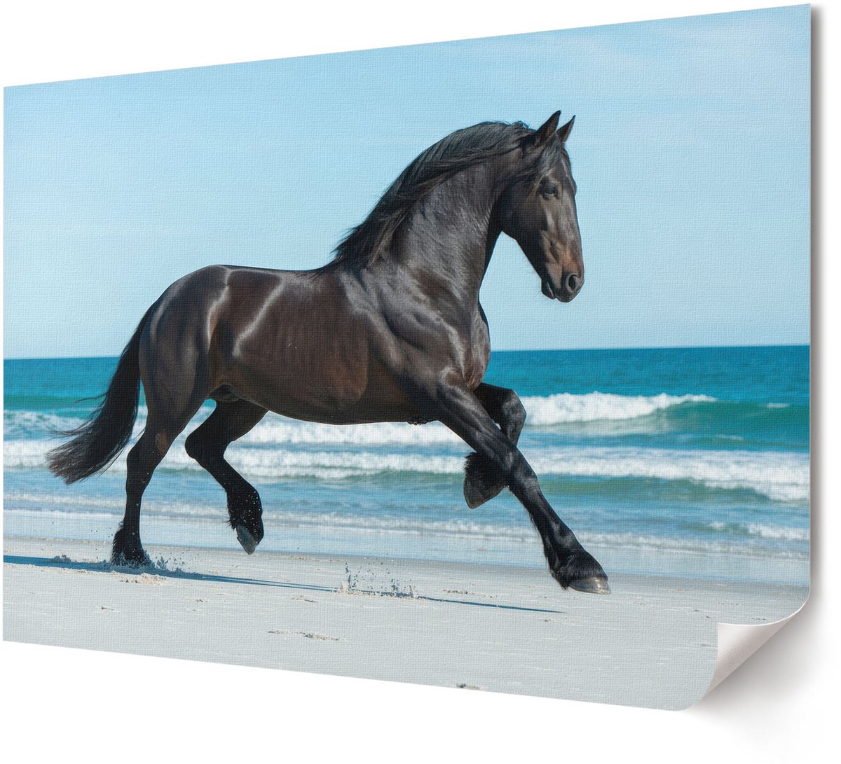 Coloray Canvas Poster Polycanvas - Gevelramen, Fotografie - A4 - Romig Poster - Rechthoek - Wandkunst - Woonkamer, Slaapkamer, Kantoor - Klassiek