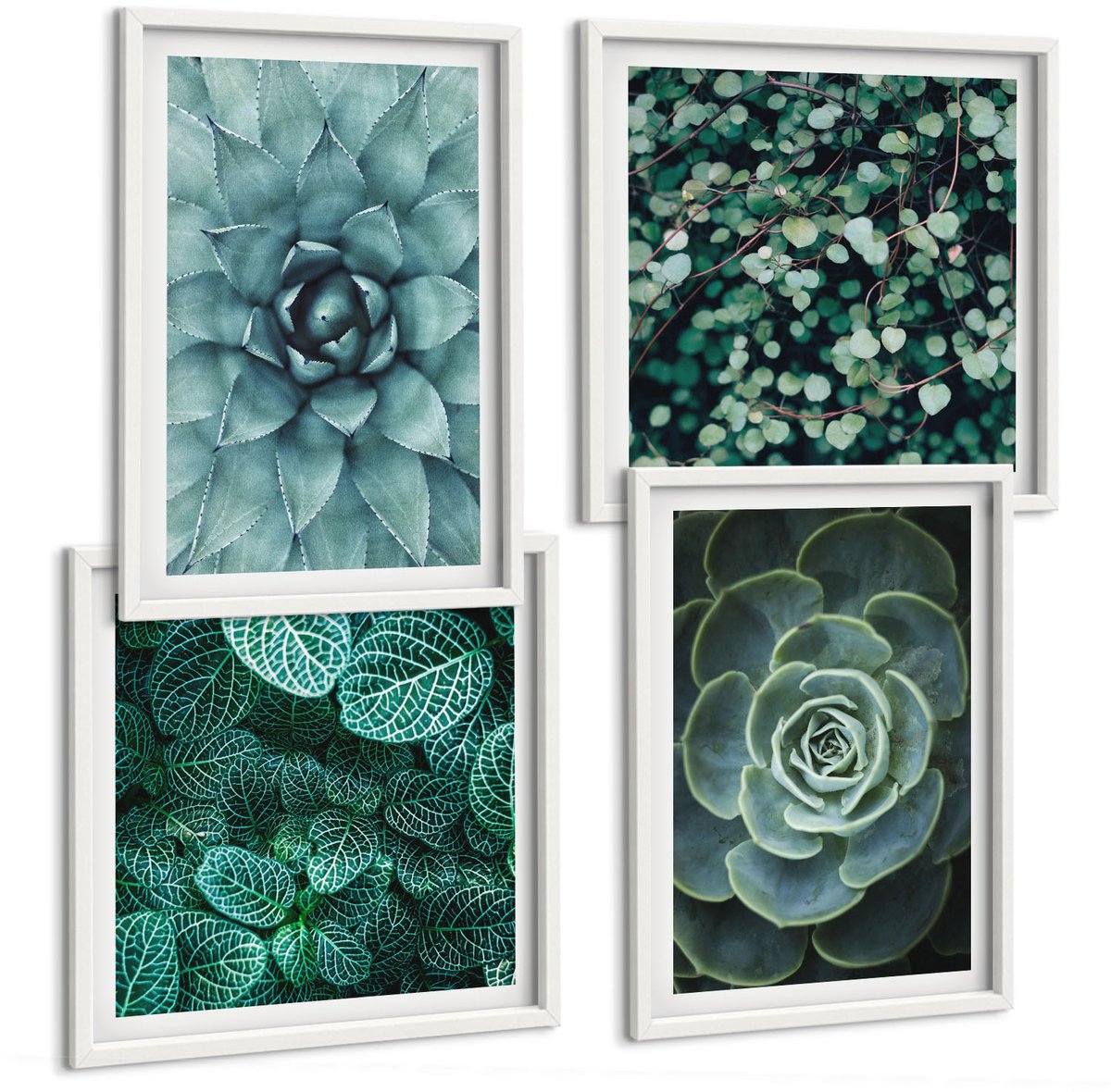 Coloray 4-Delige Schilderij Set - Vetplanten In Groene En Turquoise Tinten. - 40 x 40 En 40 x 60 - Decoratieve Schilderijen - Woonkamer - Interieur - Woonkamer Decoratie