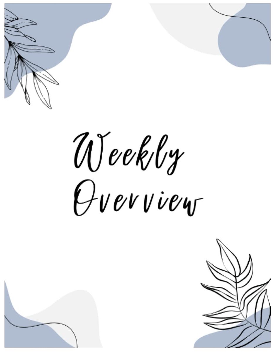 Weekly Overview - A Self Reflection - ShopVlot