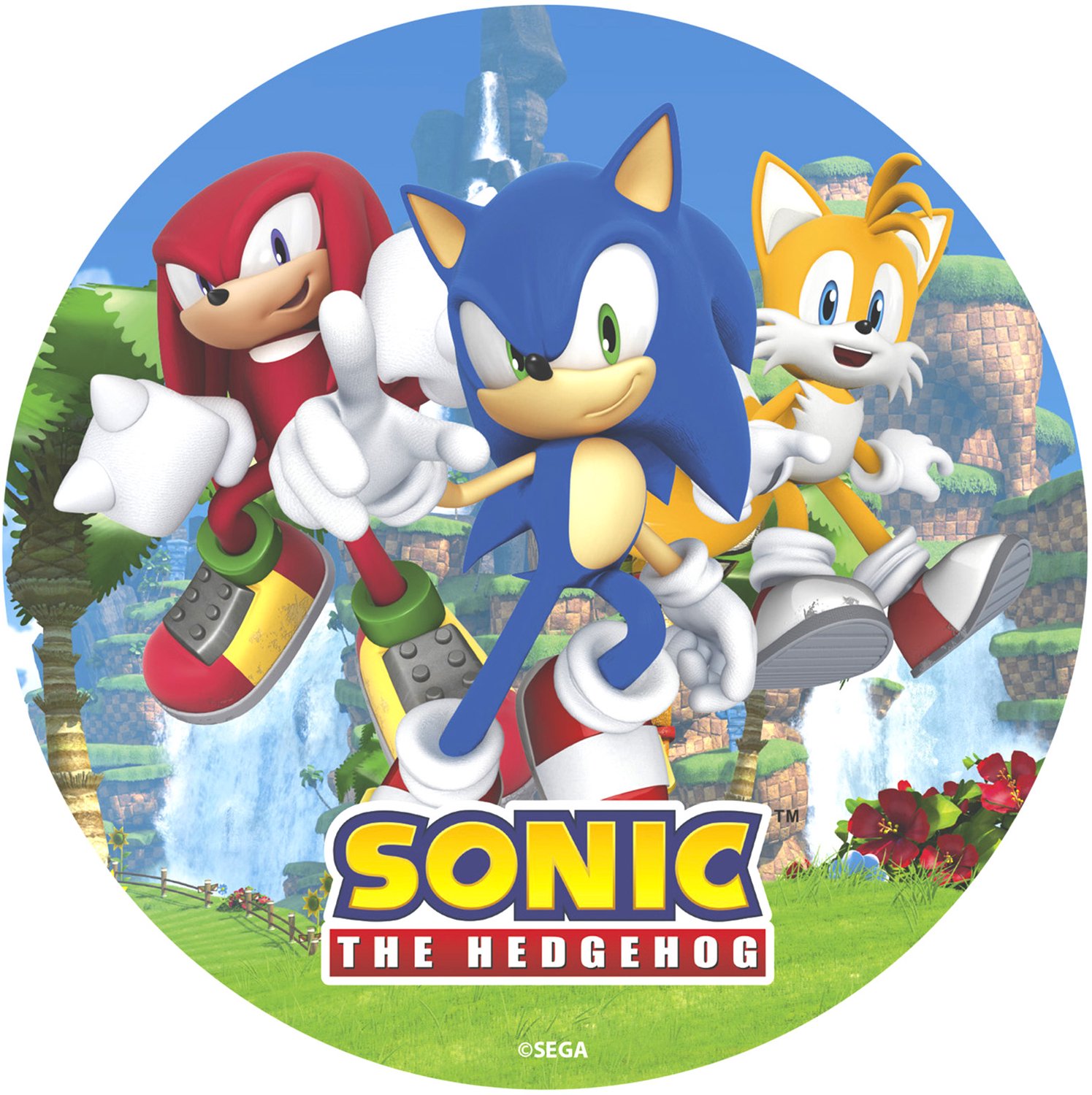 DEKORA - Sonic eetbare ouwel schijf 20 cm