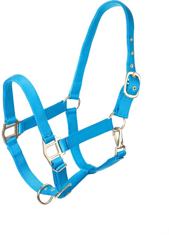 Felblauw halster met gouden gespen en clipsluiting.