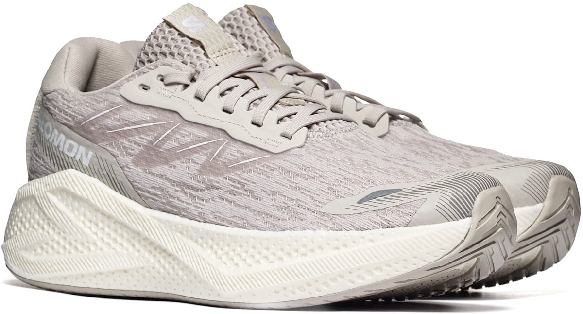 Sportieve Salomon AERO GLIDE 4 SLV CL/SLV Unisex Wit