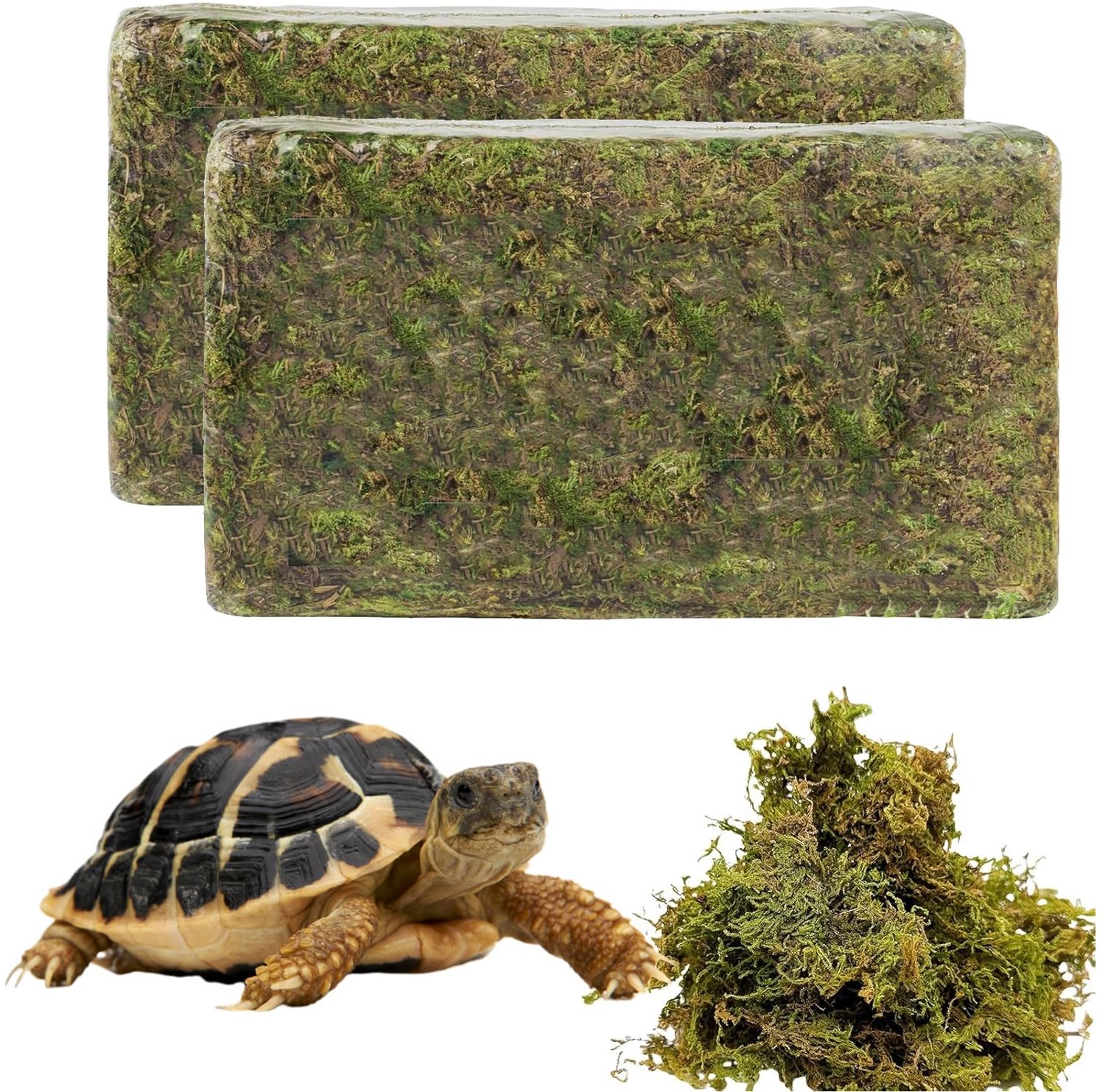 800 g Natuurlijke Mos voor Terrarium