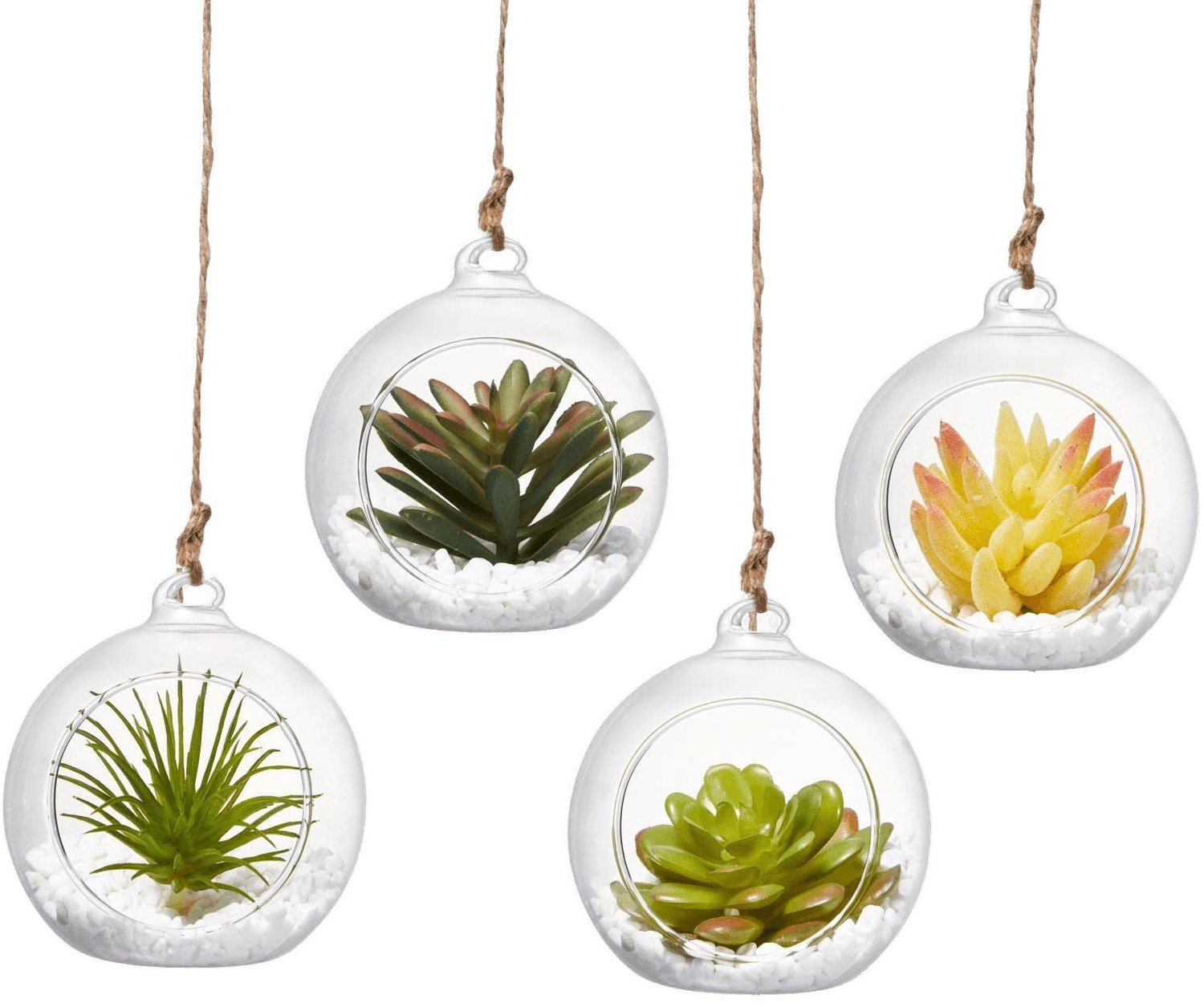 Hangend Glazen Terrarium met Touw