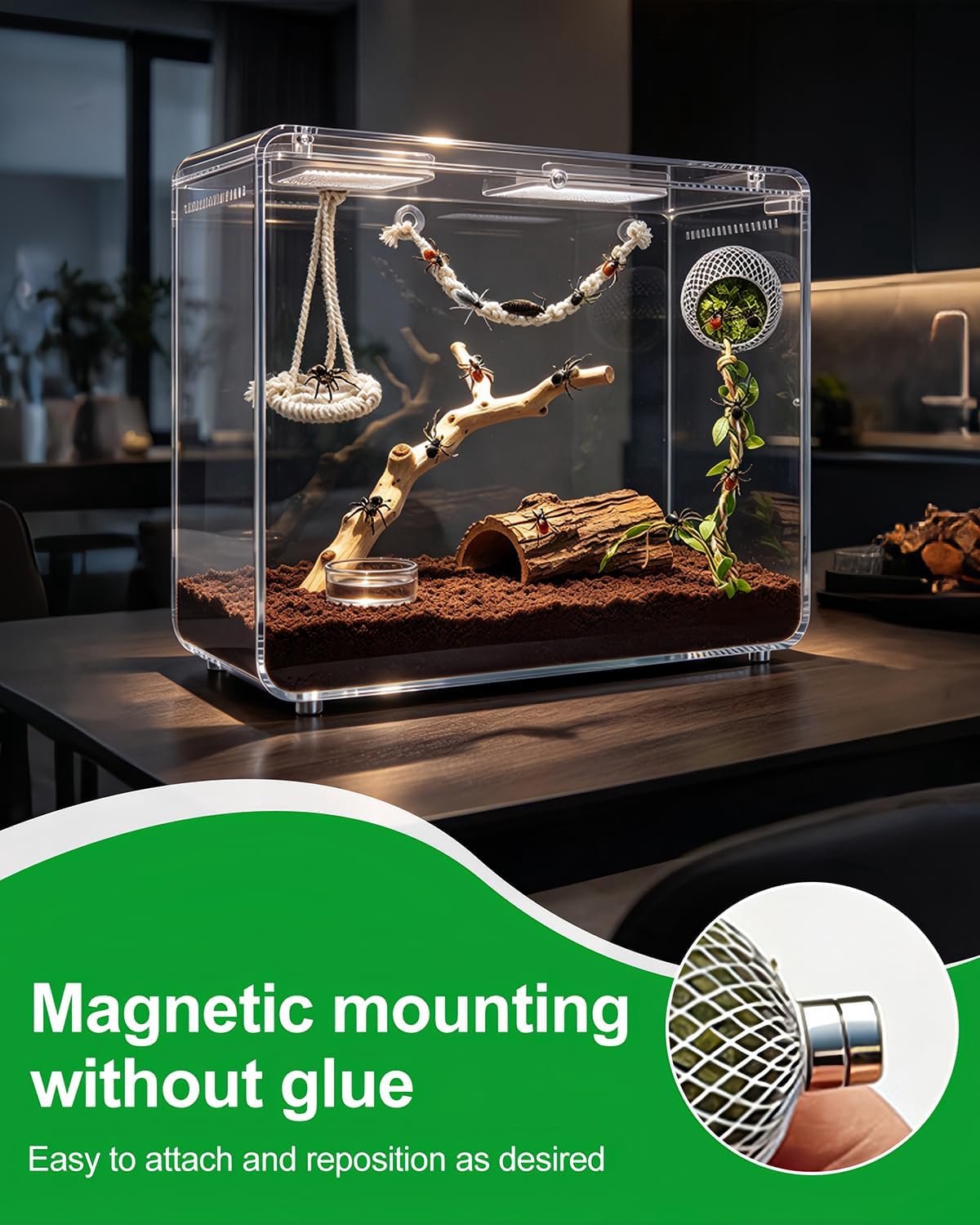 Springspin terrarium, springspin accessoires