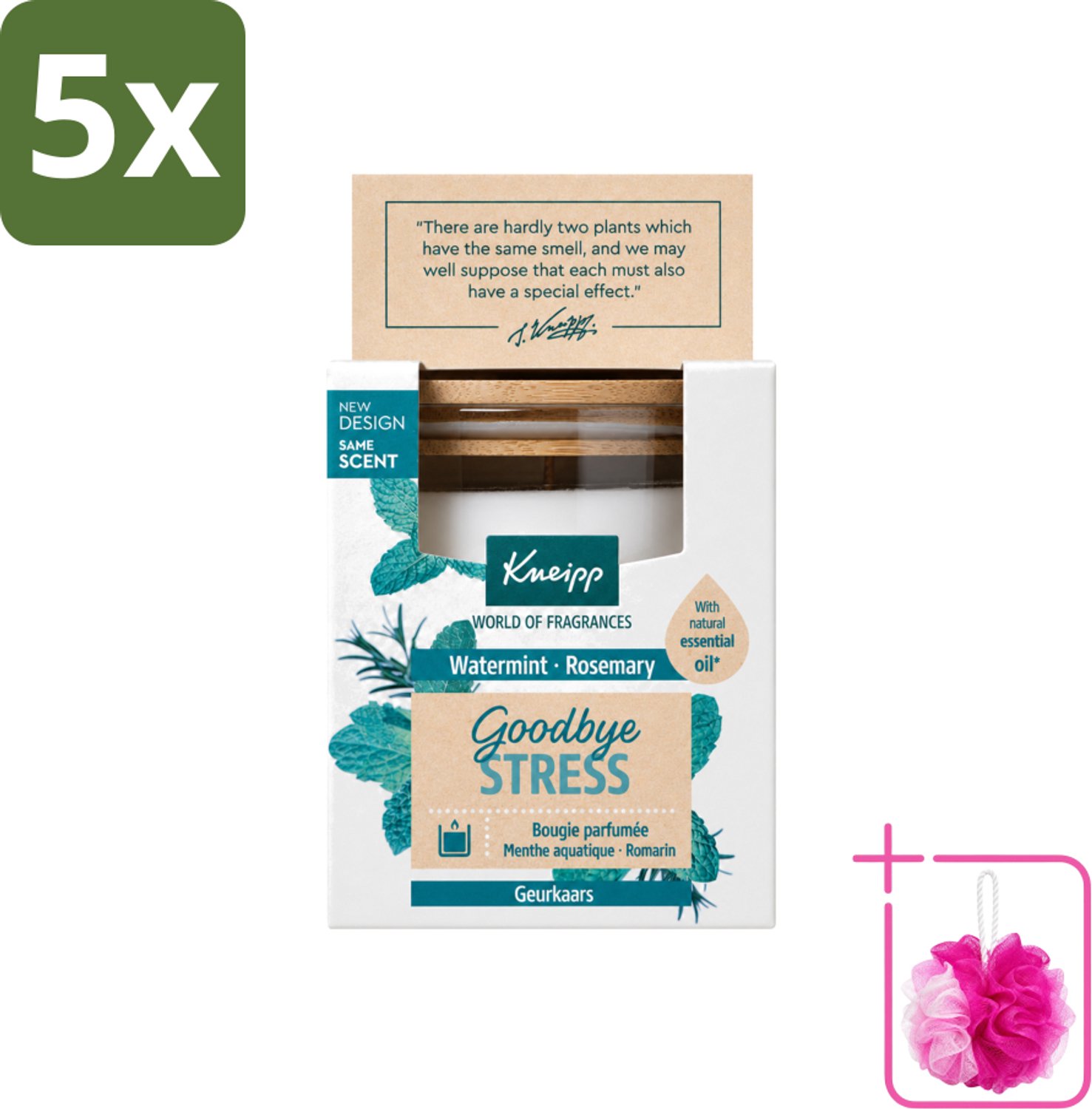 5 x Kneipp - Geurkaars - Goodbye Stress - Watermunt & Rozemarijn - 20 branduren - Bulkverpakking - Geurkaars - Douchemop - Ontspanning