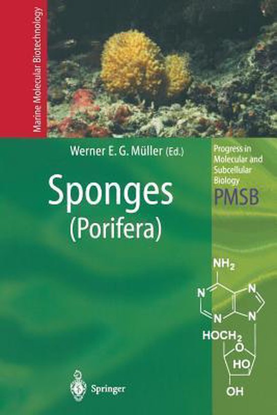 Sponges (Porifera) - cover