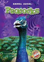Animal Safari - Peacocks
