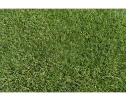 Kunstgras 2 x 4 meter - 20mm ✅ Nederlandse Productie - Uitgeroepen zachtste Grastapijt ✅ Waterdoorlatend | Tuin | Kind | Dier
