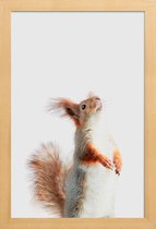 JUNIQE - Poster in houten lijst Red Squirrel II -30x45 /Grijs & Oranje