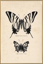 JUNIQE - Poster met kunststof lijst Butterfly Engraving -20x30 /Bruin