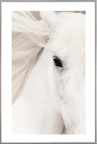 JUNIQE - Poster met kunststof lijst White Horse -40x60 /Grijs & Wit