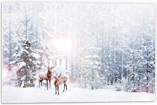 Forex - Twee Hertjes tussen de Sneeuwvlokken  - 60x40cm Foto op Forex