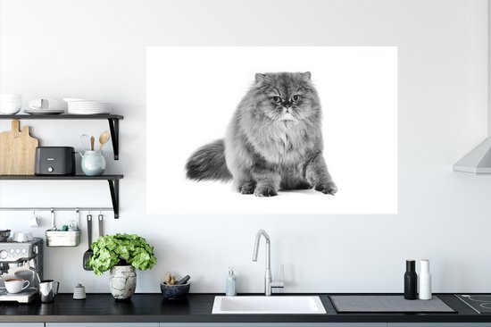 Schattige Katten Muurstickers - Waterdicht En Afneembaar Voor Woonkamer En Slaapkamer