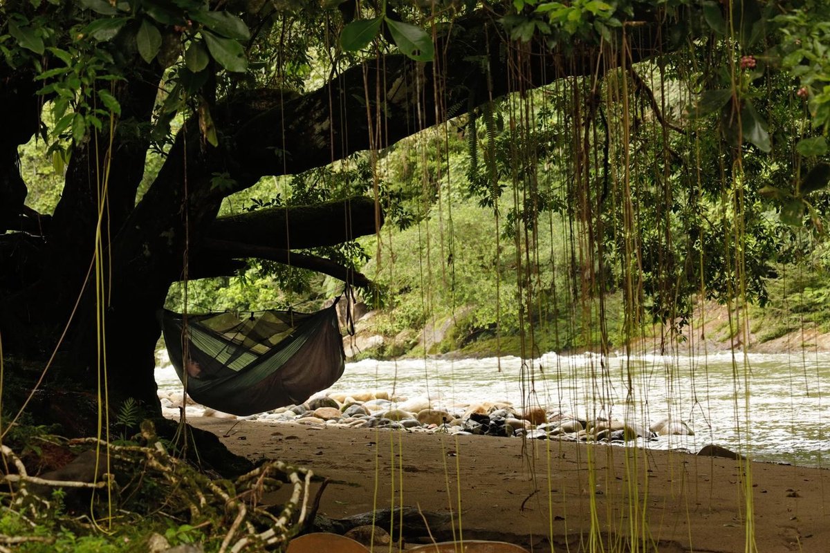 Amazonas Adventure Hammock - Mosquito Net
