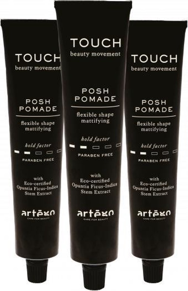 Artégo Touch Posh Pomade