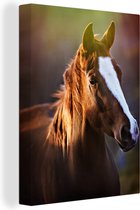 Portrait d'un cheval brun au soleil 30x40 cm - petit - impression photo sur toile peinture Décoration murale salon / chambre à coucher) / Animaux sauvages Peintures Toile