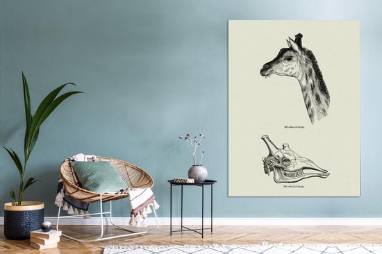 Une illustration de la tête et du crâne d'une girafe sur toile 120x160 cm - Tirage photo sur toile (Décoration murale salon / chambre) XXL / Groot format!