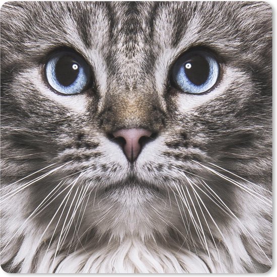 Muismat Katten Close-up van kat met blauwe muismat rubber - 23x19 - Muismat... | bol.com