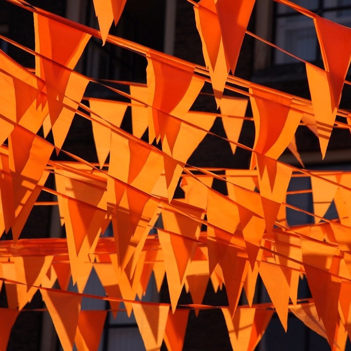 Oranje vlaggenlijnen 500 meter
