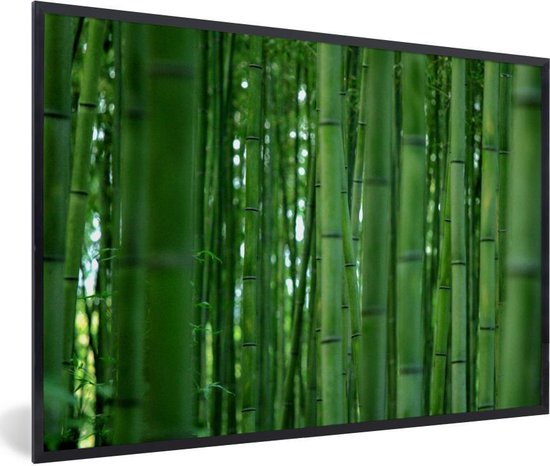 Poster met lijst Het Bamboebos van Arashiyama van dichtbij