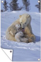Muurdecoratie IJsberen - Sneeuw - Wit - 120x180 cm - Tuinposter - Tuindoek - Buitenposter