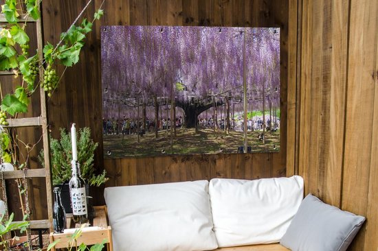 Affiche jardin - Glycine à l'ombre - 120x90 cm