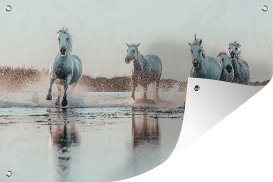 Tuinposter 120x80 cm - Tuindecoratie Wilde witte paarden galopperen door het water in Camargue - Poster voor in de tuin - Buiten decoratie - Schutting tuinschilderij - Tuindoek muurdecoratie - Wanddecoratie balkondoek