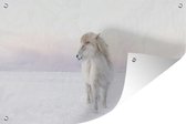 Tuinposters buiten Wit IJslander paard in de sneeuw - 90x60 cm - Tuindoek - Buitenposter