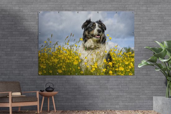 Border Collie parmi les belles fleurs jaunes Affiche de jardin 180x120 cm - Toile de jardin / Toile d'extérieur / Peintures d'extérieur (décoration de jardin) XXL / Grand format!