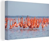 Canvas Schilderij Grote groep flamingo's in het water - 30x20 cm - Wanddecoratie