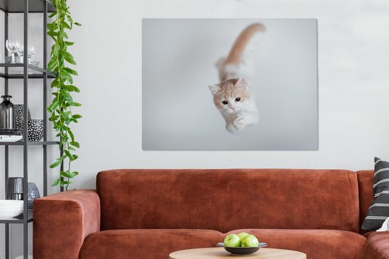 Peintures sur toile - Chaton sautant - 120x90 cm - Décoration murale