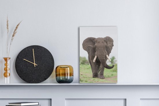 Peintures sur toile - Éléphant venant en sens inverse - 20x30 cm - Décoration murale