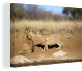 Toile Peinture Lion - Animaux - Afrique - 120x80 cm - Décoration murale
