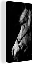 Canvas Schilderij Paard - Halster - Licht - 20x40 cm - Wanddecoratie