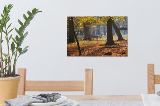 Cerf dans une forêt au Danemark toile 2cm 30x20 cm - petit - Tirage photo sur toile (Décoration murale salon / chambre)